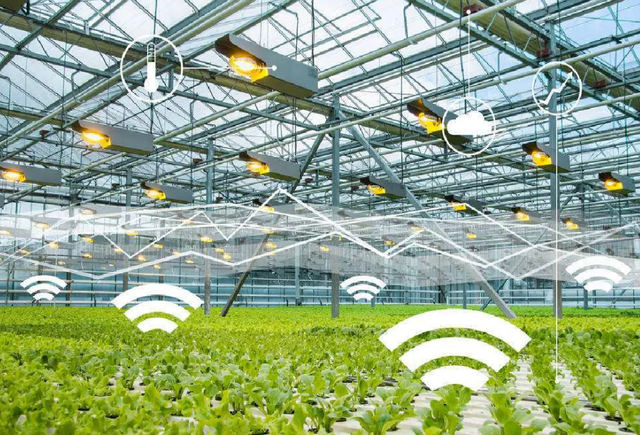 智能農(nóng)業(yè)管理下物聯(lián)卡的應(yīng)用場景與功能特色