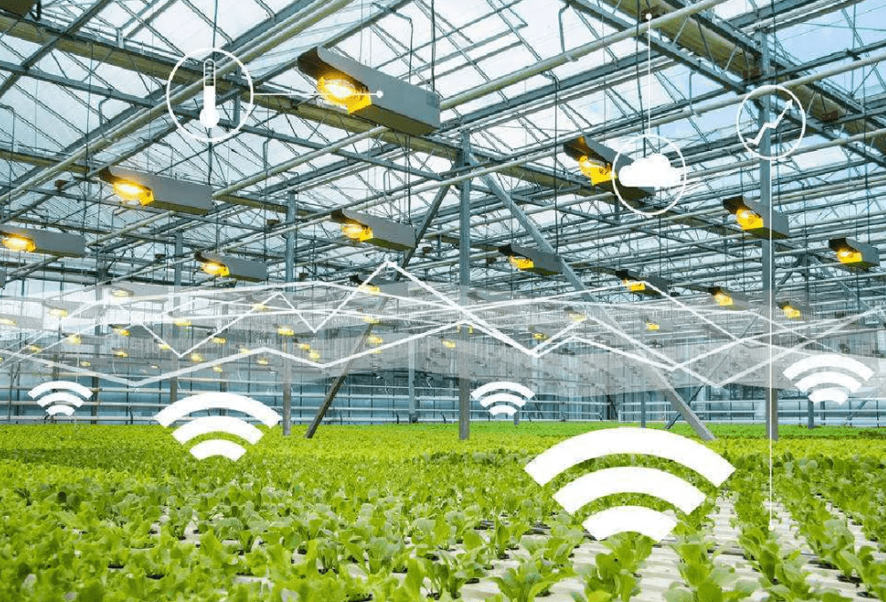 物聯(lián)網(wǎng)時代下，物聯(lián)卡在智慧農(nóng)業(yè)中的應(yīng)用場景與特性解析