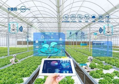 加速農(nóng)業(yè)數(shù)字化轉(zhuǎn)型 智能農(nóng)業(yè)管理的實(shí)踐與未來